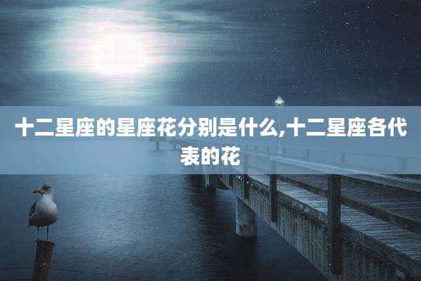 十二星座的星座花分别是什么,十二星座各代表的花