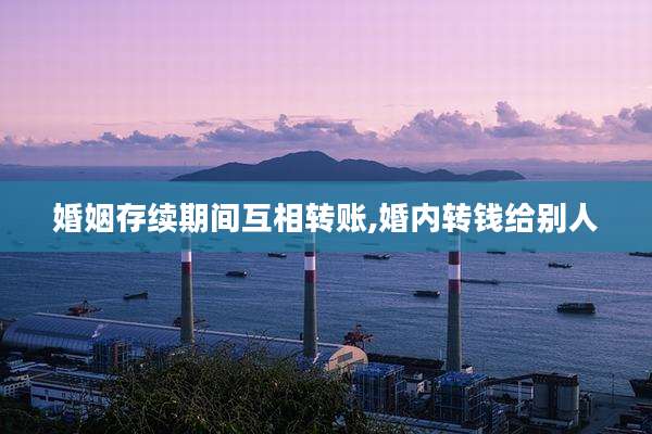 婚姻存续期间互相转账,婚内转钱给别人