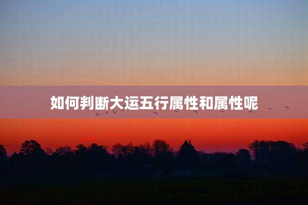 如何判断大运五行属性和属性呢