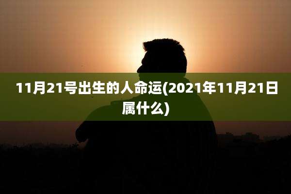 11月21号出生的人命运(2021年11月21日属什么)