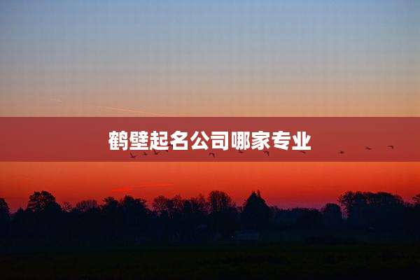 鹤壁起名公司哪家专业