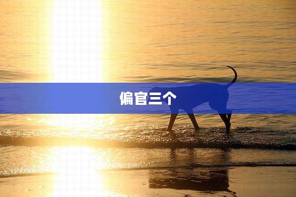 偏官三个