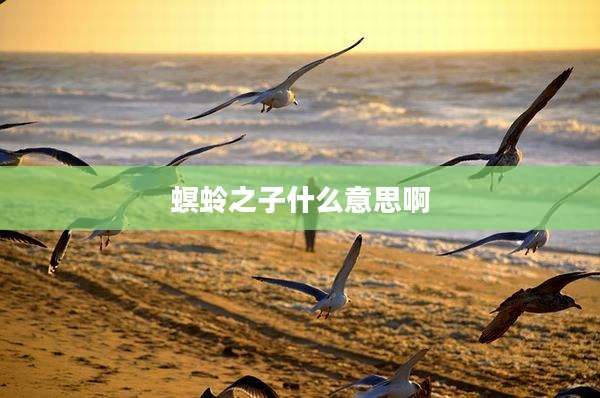 螟蛉之子什么意思啊