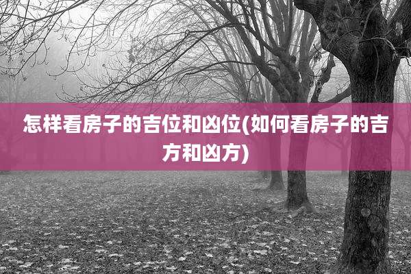 怎样看房子的吉位和凶位(如何看房子的吉方和凶方)