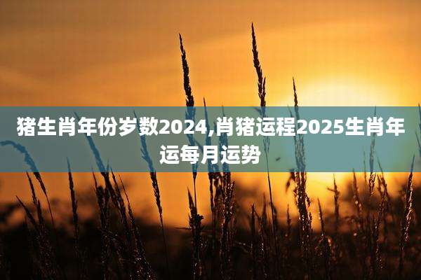 猪生肖年份岁数2024,肖猪运程2025生肖年运每月运势