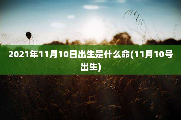 2021年11月10日出生是什么命(11月10号出生)