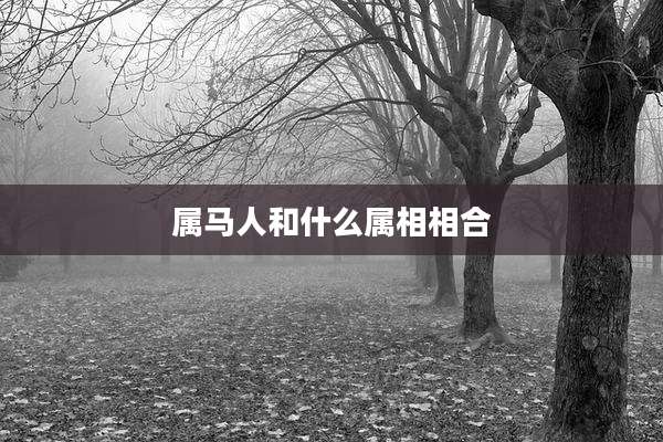 属马人和什么属相相合