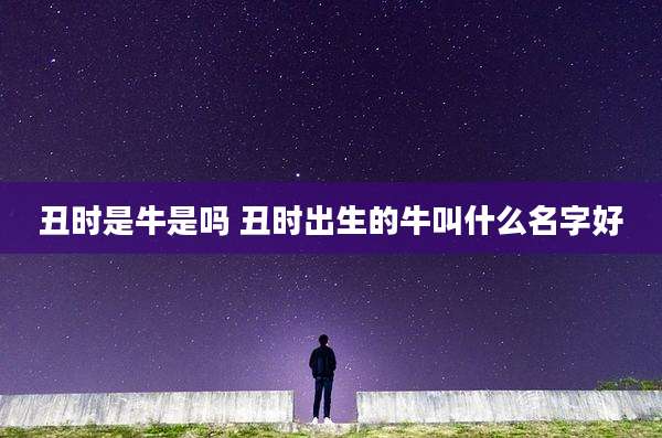 丑时是牛是吗 丑时出生的牛叫什么名字好