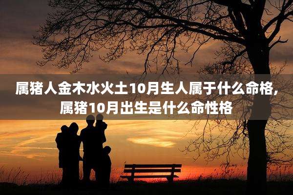属猪人金木水火土10月生人属于什么命格,属猪10月出生是什么命性格