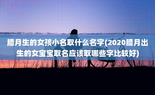 腊月生的女孩小名取什么名字(2020腊月出生的女宝宝取名应该取哪些字比较好)