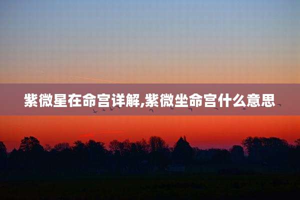 紫微星在命宫详解,紫微坐命宫什么意思