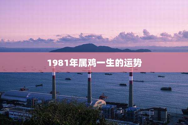 1981年属鸡一生的运势