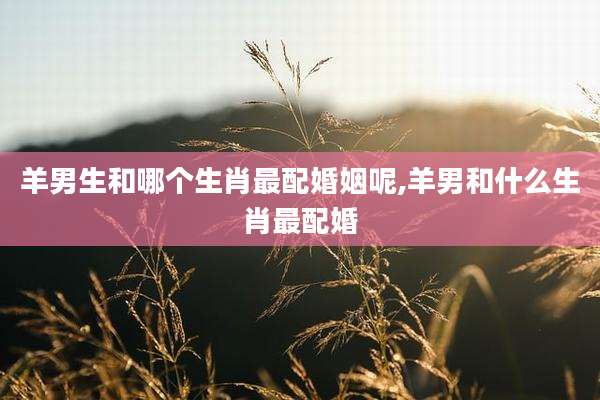 羊男生和哪个生肖最配婚姻呢,羊男和什么生肖最配婚