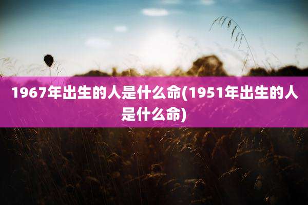 1967年出生的人是什么命(1951年出生的人是什么命)