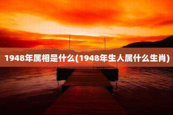 1948年属相是什么(1948年生人属什么生肖)