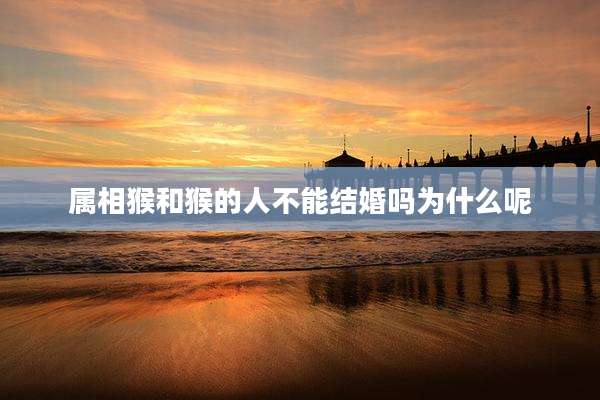 属相猴和猴的人不能结婚吗为什么呢