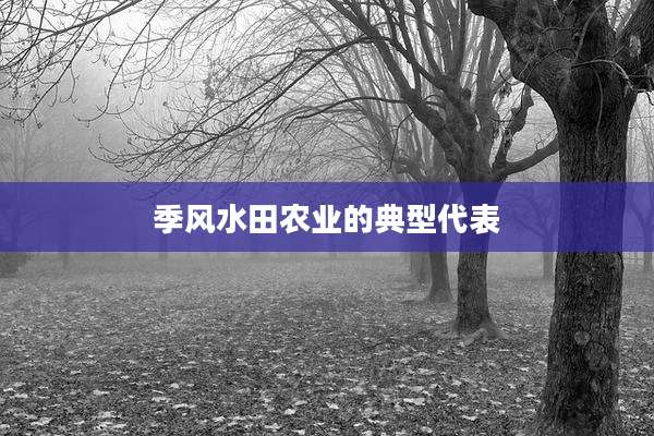 季风水田农业的典型代表