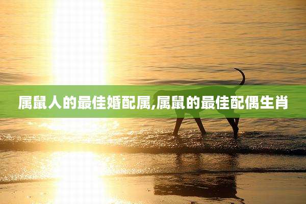 属鼠人的最佳婚配属,属鼠的最佳配偶生肖