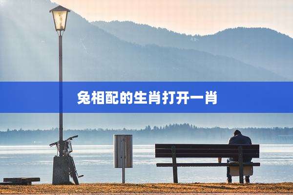 兔相配的生肖打开一肖