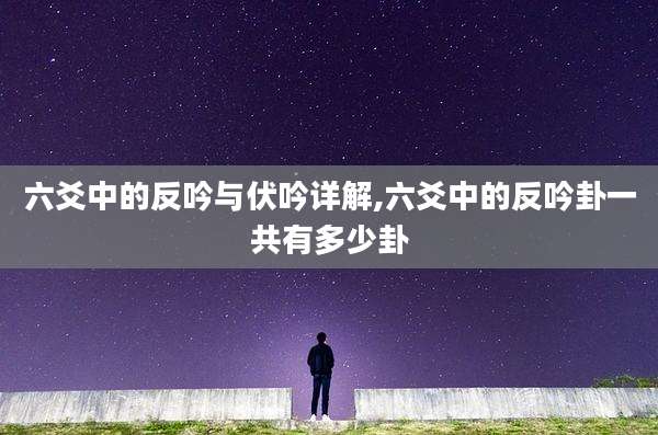 六爻中的反吟与伏吟详解,六爻中的反吟卦一共有多少卦
