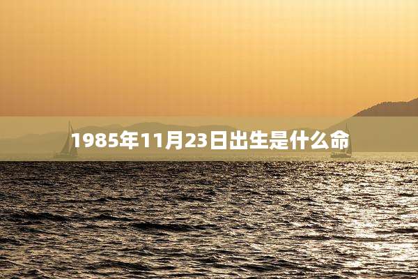 1985年11月23日出生是什么命
