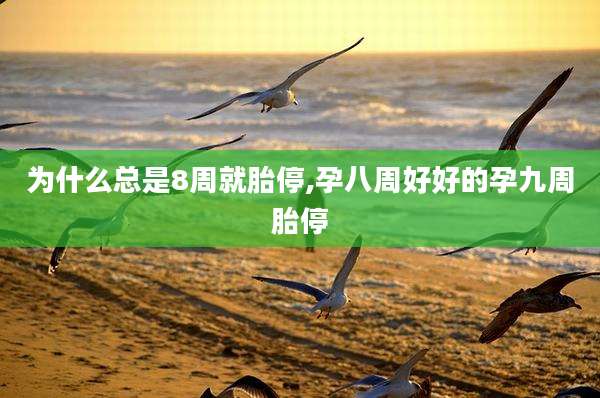 为什么总是8周就胎停,孕八周好好的孕九周胎停