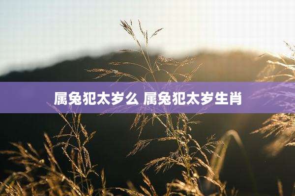 属兔犯太岁么 属兔犯太岁生肖