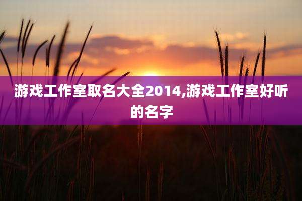 游戏工作室取名大全2014,游戏工作室好听的名字