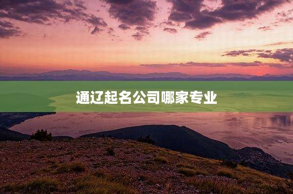 通辽起名公司哪家专业
