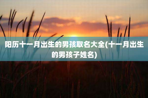 阳历十一月出生的男孩取名大全(十一月出生的男孩子姓名)