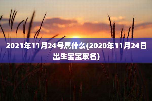 2021年11月24号属什么(2020年11月24日出生宝宝取名)