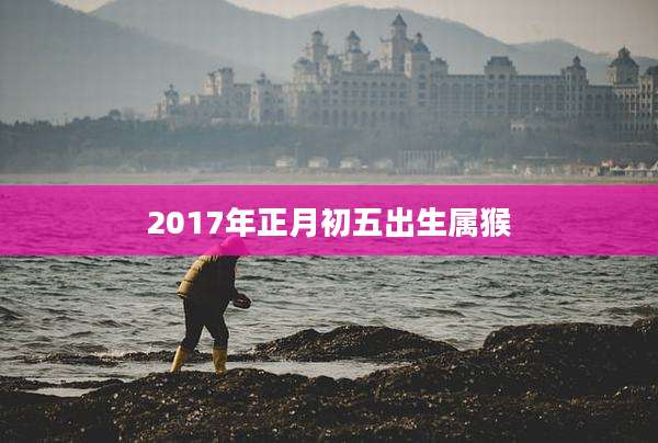 2017年正月初五出生属猴