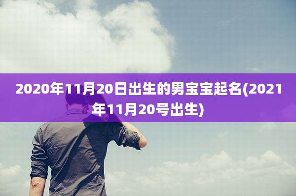 2020年11月20日出生的男宝宝起名(2021年11月20号出生)