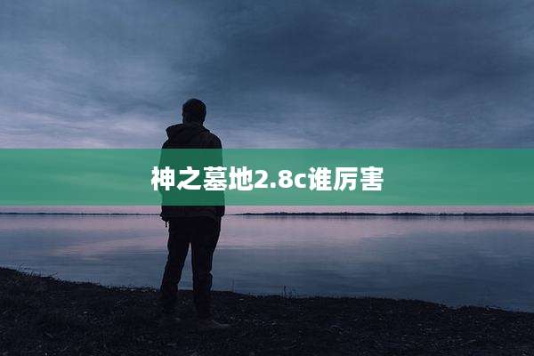 神之墓地2.8c谁厉害