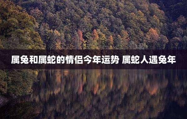 属兔和属蛇的情侣今年运势 属蛇人遇兔年
