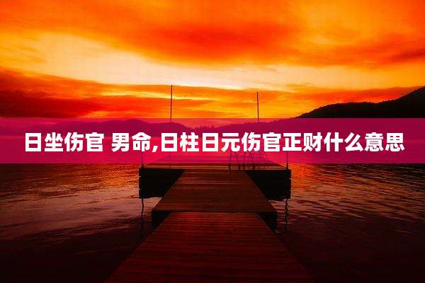 日坐伤官 男命,日柱日元伤官正财什么意思