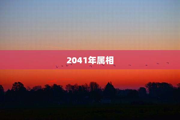 2041年属相