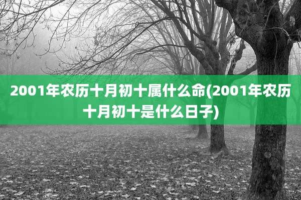 2001年农历十月初十属什么命(2001年农历十月初十是什么日子)