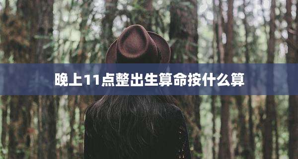 晚上11点整出生算命按什么算