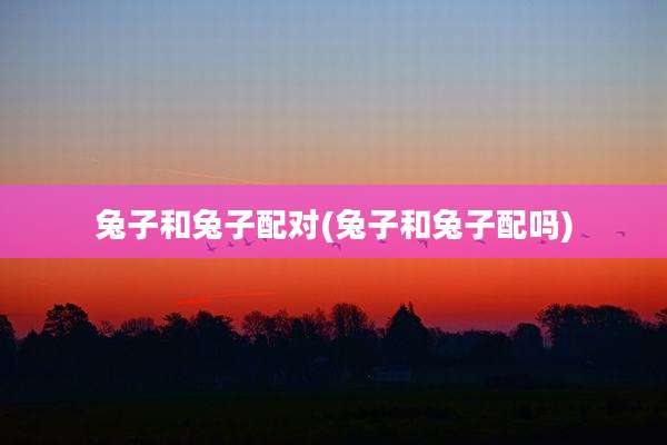 兔子和兔子配对(兔子和兔子配吗)