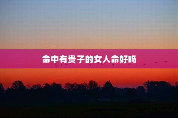 命中有贵子的女人命好吗