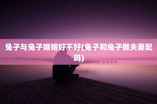 兔子与兔子婚姻好不好(兔子和兔子做夫妻配吗)