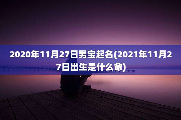 2020年11月27日男宝起名(2021年11月27日出生是什么命)