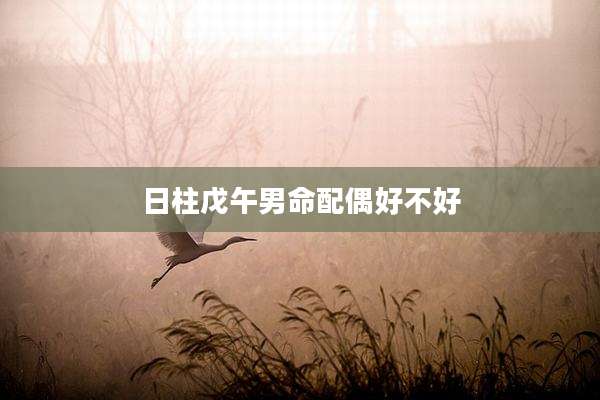 日柱戊午男命配偶好不好