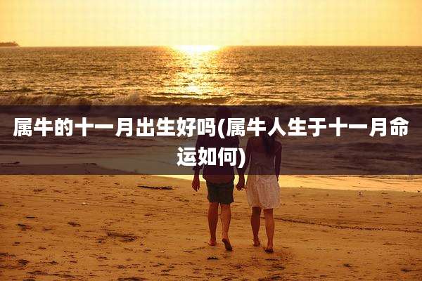 属牛的十一月出生好吗(属牛人生于十一月命运如何)