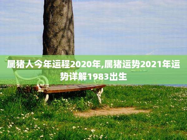 属猪人今年运程2020年,属猪运势2021年运势详解1983出生