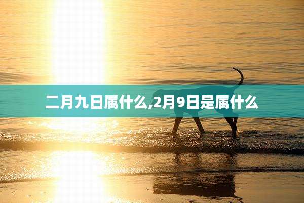 二月九日属什么,2月9日是属什么