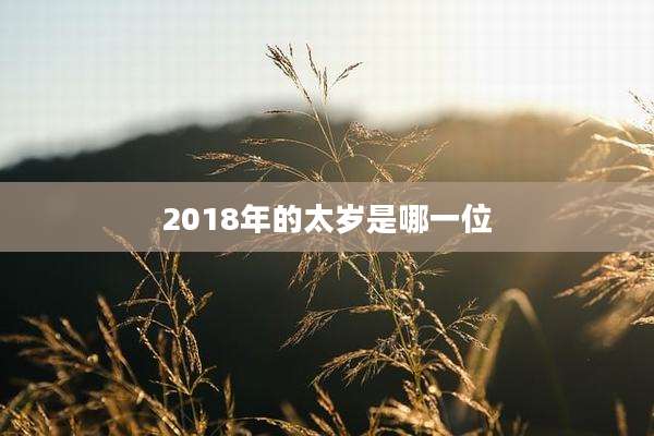 2018年的太岁是哪一位