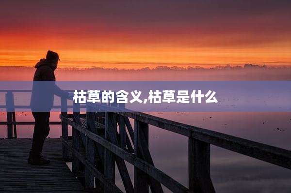 枯草的含义,枯草是什么
