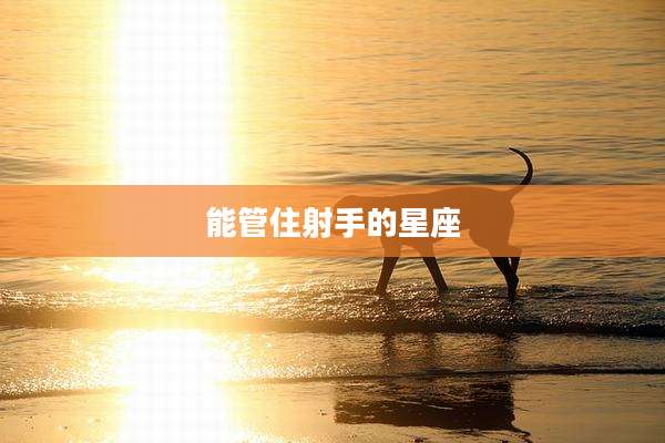 能管住射手的星座
